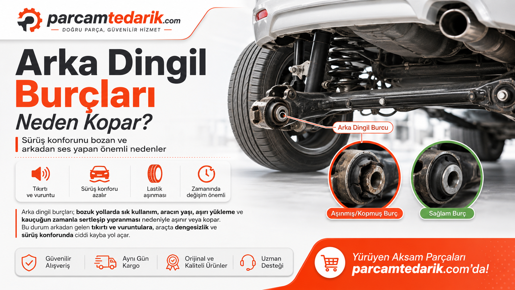 Arka Dingil Burçları Neden Kopar? | parcamtedarik.com